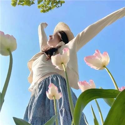 大神与七位伙伴