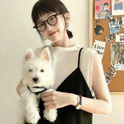 爱尔兰的弗兰克